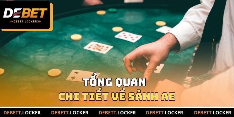 Tổng quan về sảnh AE